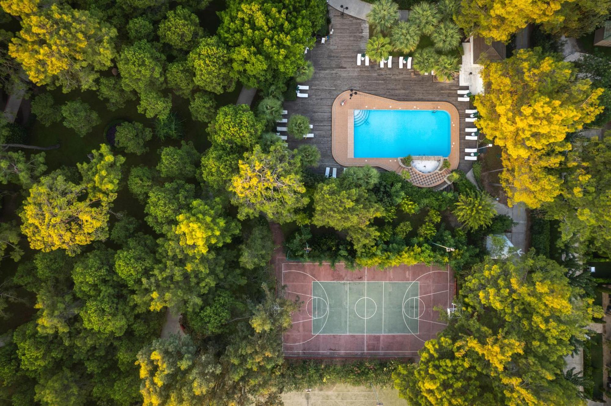 Balmy Foresta Beldibi  Ngoại thất bức ảnh